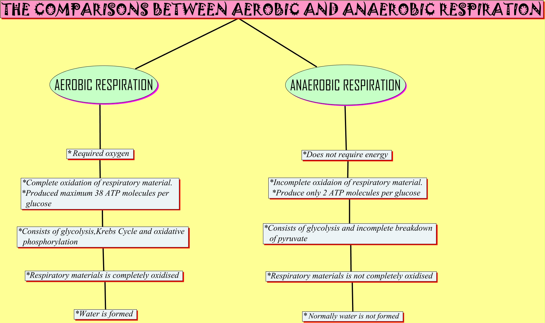 how are aerobic and anaerobic respiration different